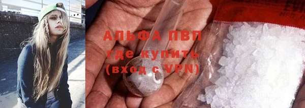PSILOCYBIN Нязепетровск