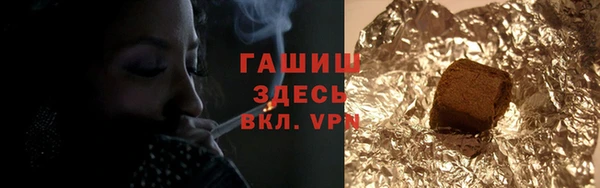 индика Няндома