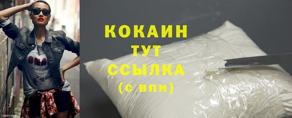 индика Няндома
