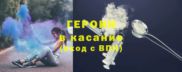 индика Няндома