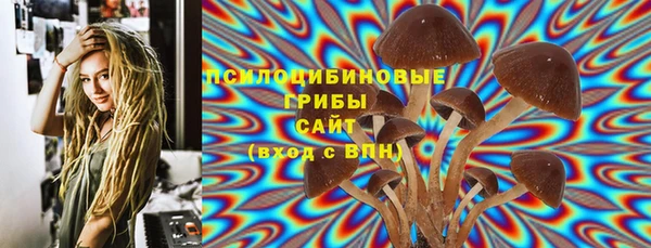 индика Няндома