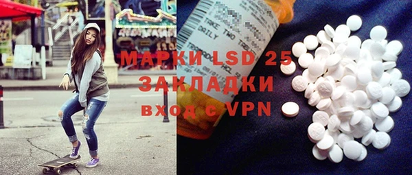 индика Няндома