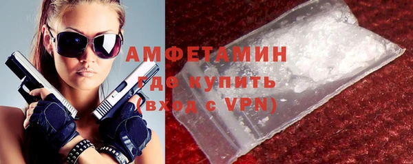 индика Няндома