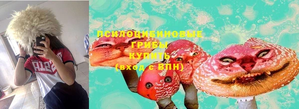 MESCALINE Осинники