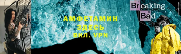 индика Няндома