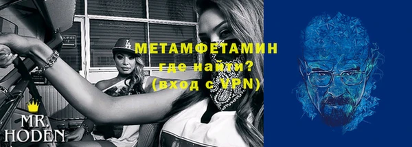 индика Няндома
