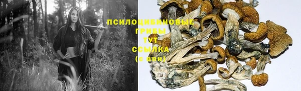 MESCALINE Осинники