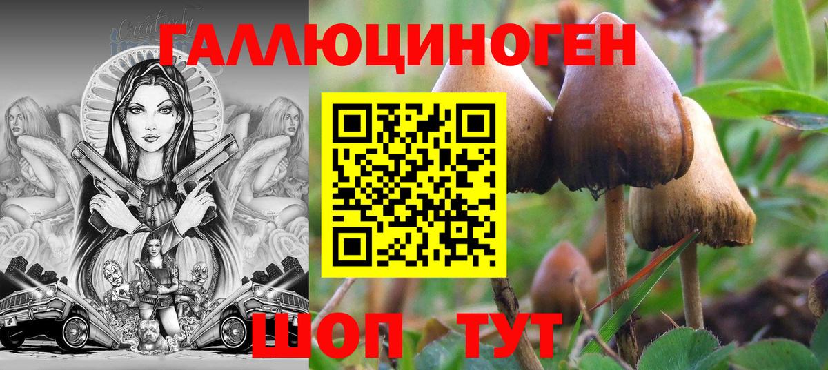 Галлюциногенные грибы Cubensis Кулебаки