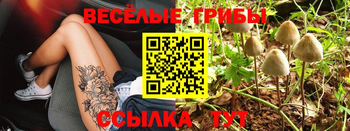 Псилоцибиновые грибы прущие грибы  Галлюциногенные грибы Psilocybine cubensis  Кулебаки 