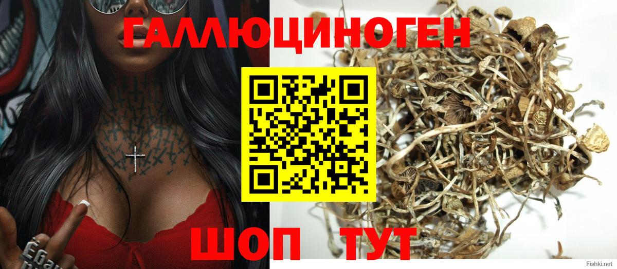 Кулебаки  Галлюциногенные грибы Magic Shrooms  Вход с VPN 